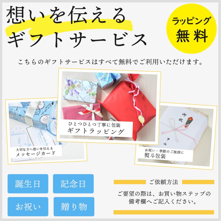 Vivienne Westwood ヴィヴィアンウエストウッド ネックレス シン Vivienne Westwood ヴィヴィアンウエストウッド ネックレス シン