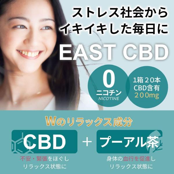 CHABA STICK 茶葉 スティック EAST 200 CBD 禁煙 タバコ ニコチン 0 禁煙サポート リラックス効果 睡眠の質向上 節煙 減煙 気分転換 10箱 1カートン お取り寄せ｜iget｜02