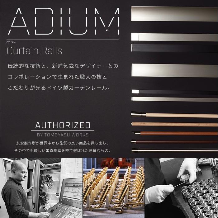 大人気 カーテンレール 天井付けセット アイアン ADIUMシリーズ MINIMALIST ミニマリスト 2〜3mまで 【C1984843478】(10175円)