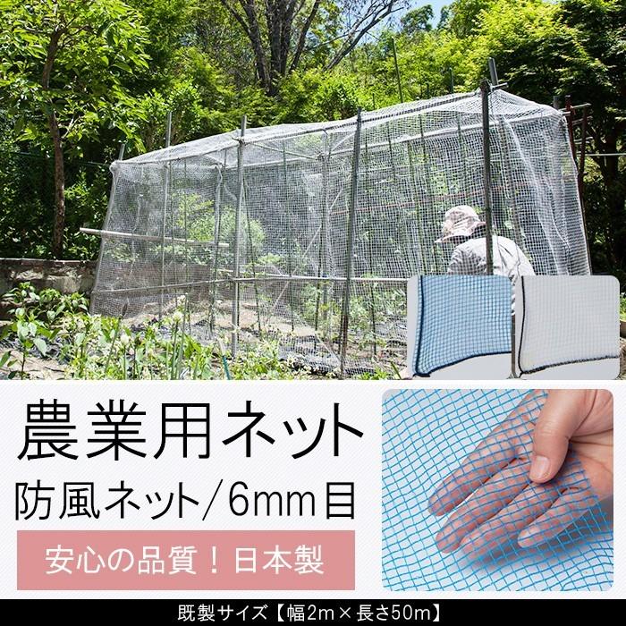 農業用 ネット 防風ネット ブルー 青 6mm目 既製品 サイズ 幅2m×長さ