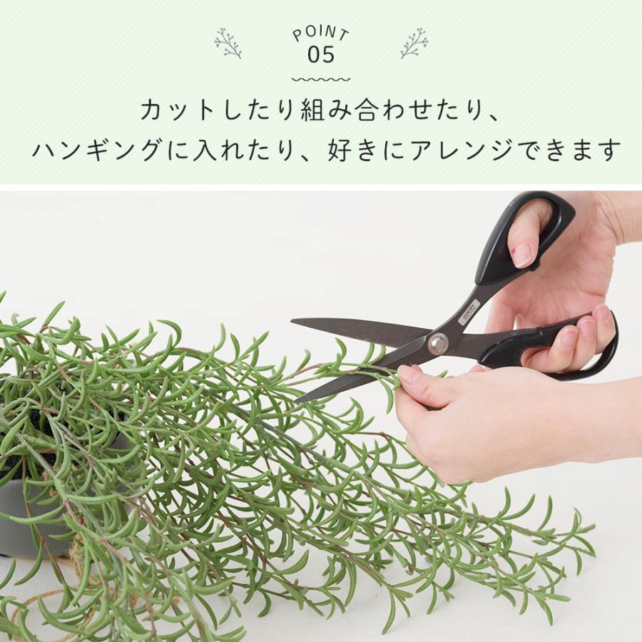 フェイクグリーン 壁掛け 吊り下げ リアル 人工観葉植物 人工