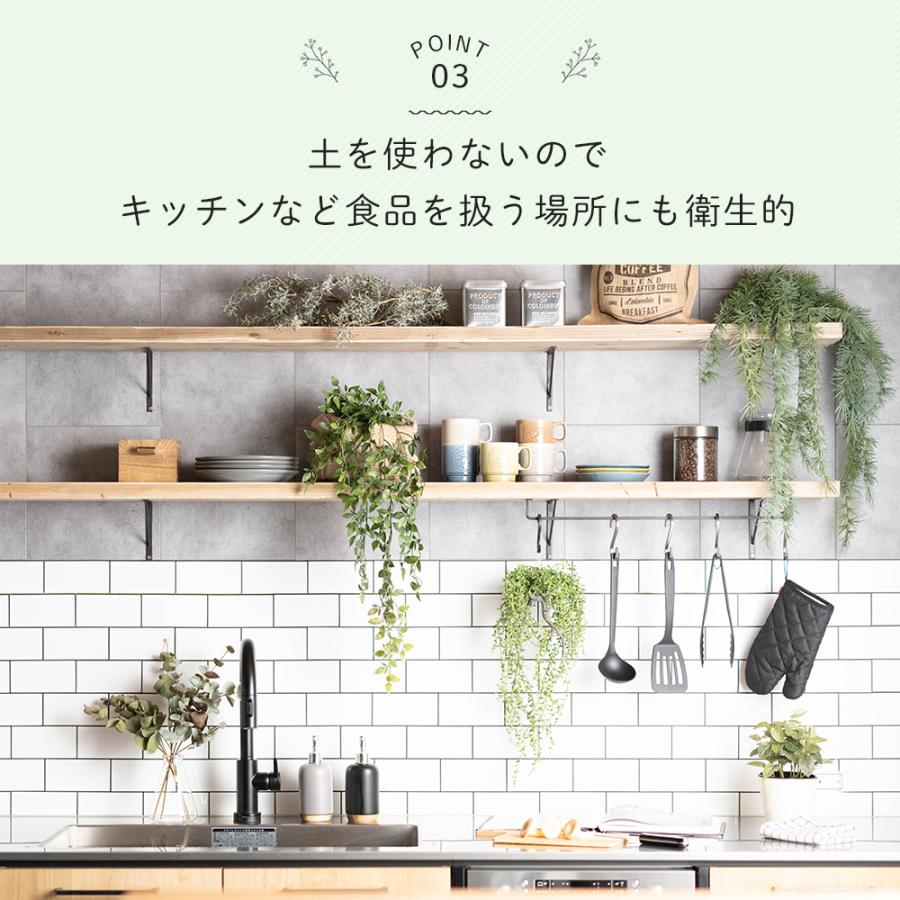 コウモリラン フェイクグリーン 壁掛け 吊り下げ リアル 人工観葉植物 造花 ハンギング インテリア おしゃれ プランツ L C-F-1の画像