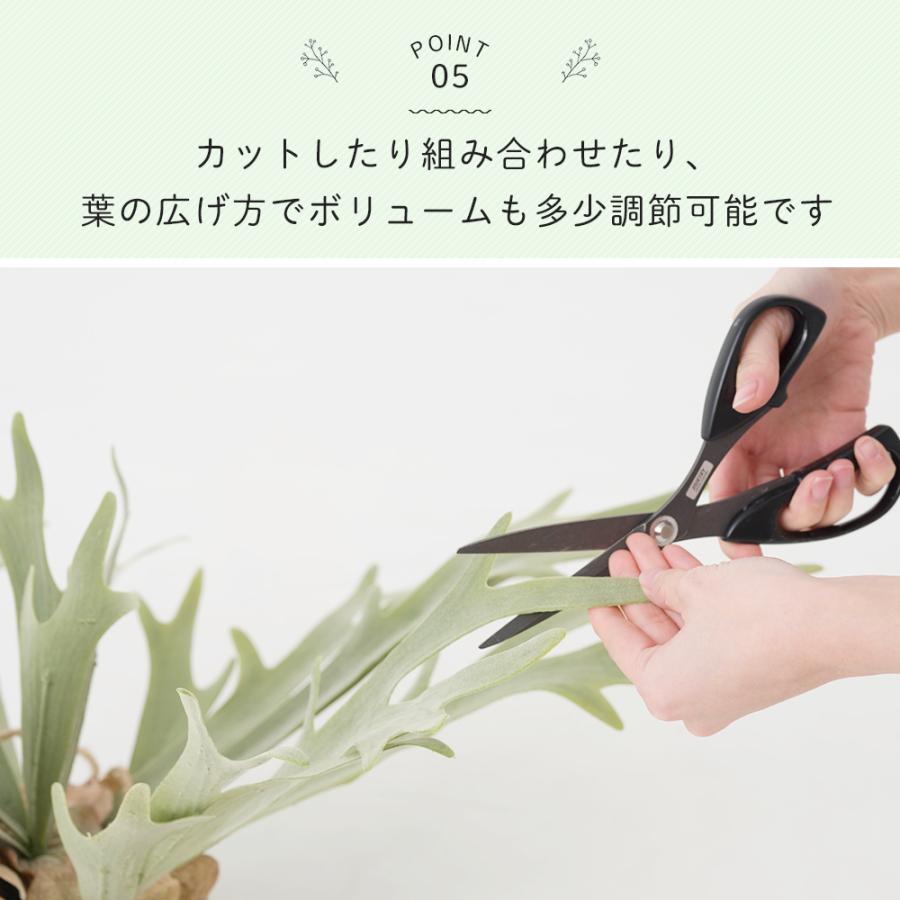 コウモリラン フェイクグリーン 壁掛け 吊り下げ リアル 人工観葉植物