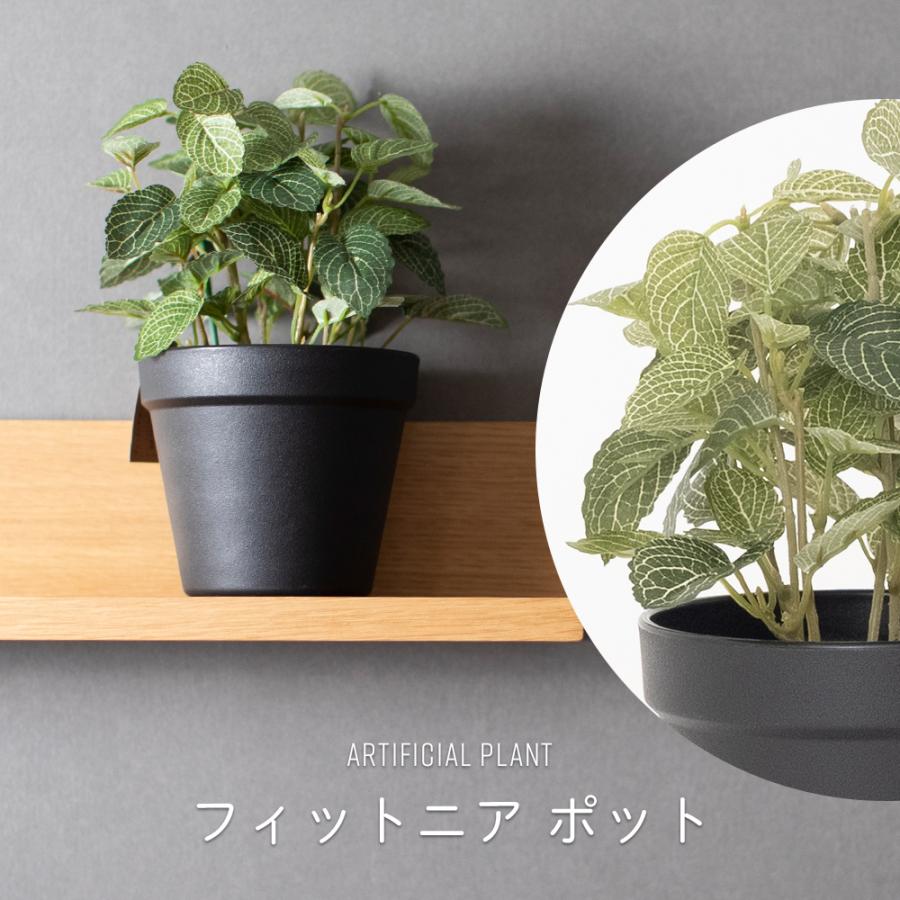フェイクグリーン 卓上 ミニ 小型 小さい 小さめ 鉢付き 鉢 リアル 人工観葉植物 造花 インテリア おしゃれ フィットニア ポット Fgrfmbb710 Diy 壁床窓インテリア内装イゴコチ 通販 Yahoo ショッピング