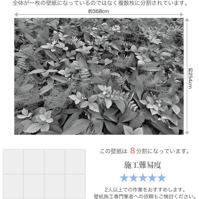 壁紙 白黒写真 張り替え 自分で クロス diy おしゃれ 輸入壁紙 Forest Floor フォレストフロアー 8-914 紙製 CSZ｜igogochi｜04