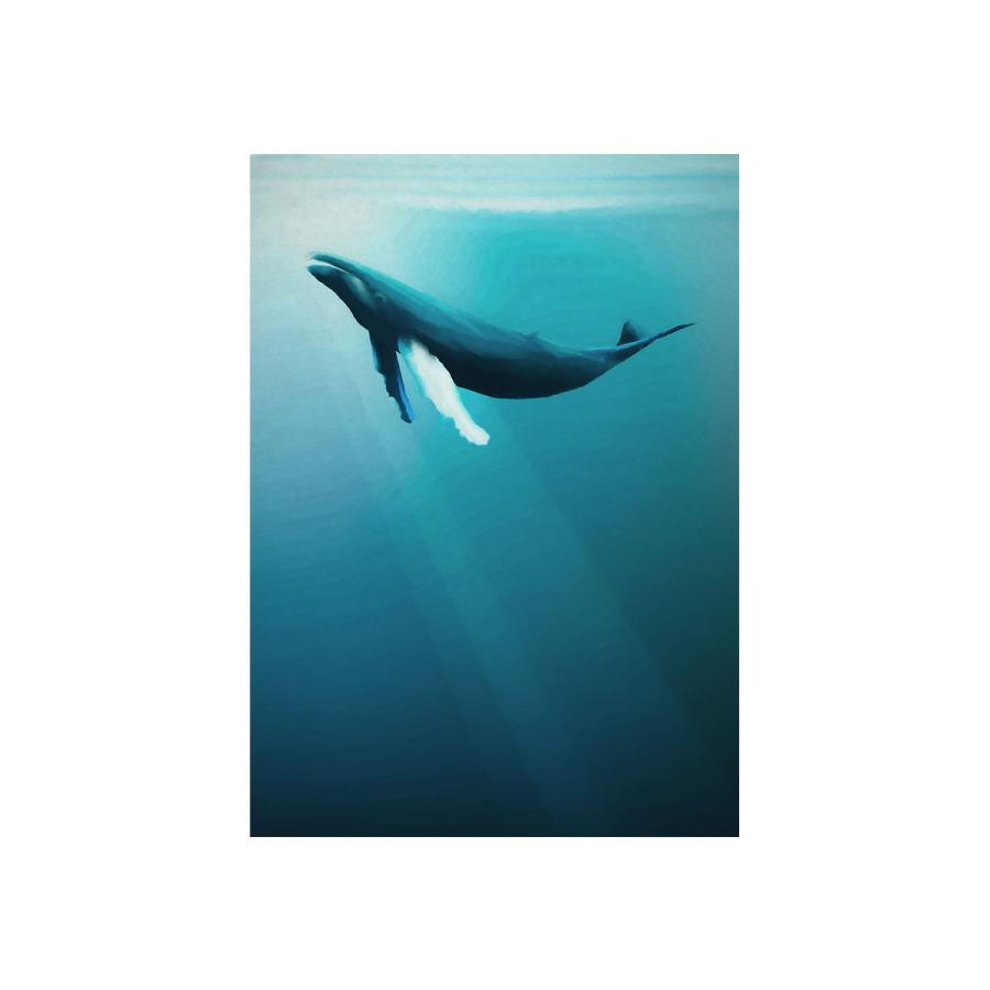 大人気新作 Diy 自分で 張り替え 海 クジラ 壁紙 おしゃれ Csz Iax4 0045 フリース製 Whale Humpback Artsy 輸入 壁紙 クロス 壁紙 Hakunamatatagrill Com