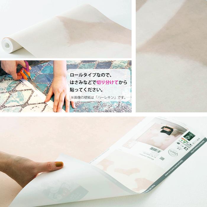 壁紙 ディズニー ミッキーマウス 個性的でおしゃれなドイツ製輸入壁紙 Kgerd050 壁紙 張り替え 自分で 壁紙 Diy おしゃれ 自分で クロス 輸入壁紙 Contour Csz フリース製 壁床窓インテリア内装イゴコチ Iadx4 052 Mickey Kgerd050 Diy