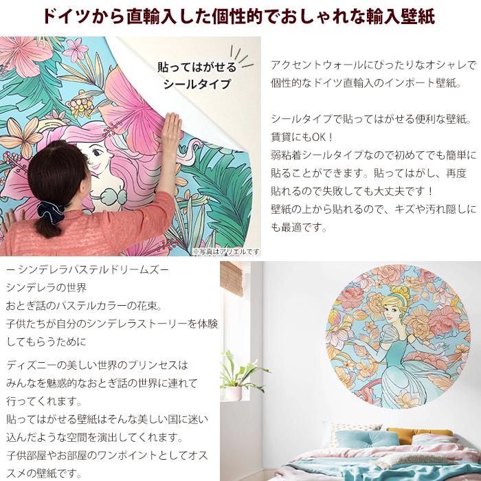 壁紙シール ディズニー プリンセス 張り替え 自分で Diy 貼ってはがせる おしゃれ シンデレラ 輸入壁紙 Dd1 003 Csz Kgerdot003 Diy 壁床窓インテリア内装イゴコチ 通販 Yahoo ショッピング