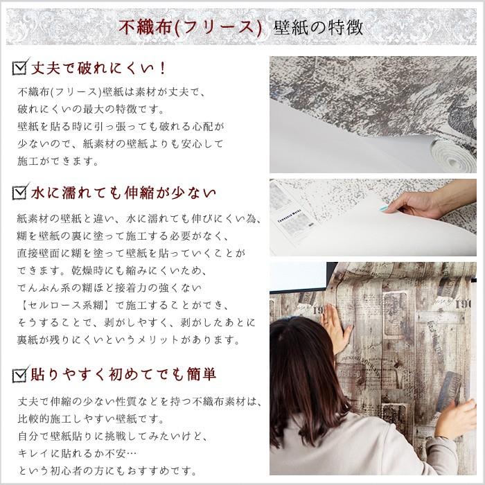 壁紙 モノトーン モンステラ柄 おしゃれ 輸入壁紙 クロス 不織布 インポート壁紙 貼って剥がせる WALLPERA 1492-001 Boto C-F-1
