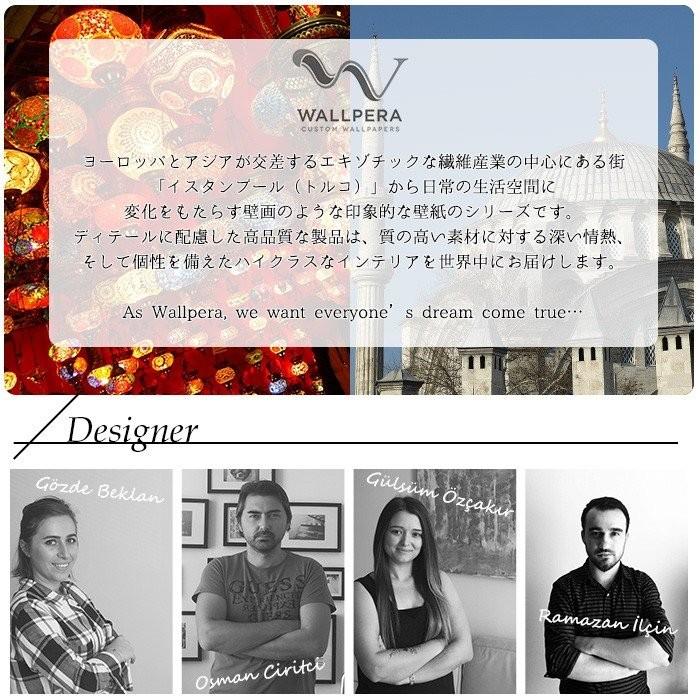 壁紙 おしゃれ 輸入壁紙 クロス 不織布 インポート壁紙 貼って剥がせる WALLPERA 2581-001 Grass Valley CSZ