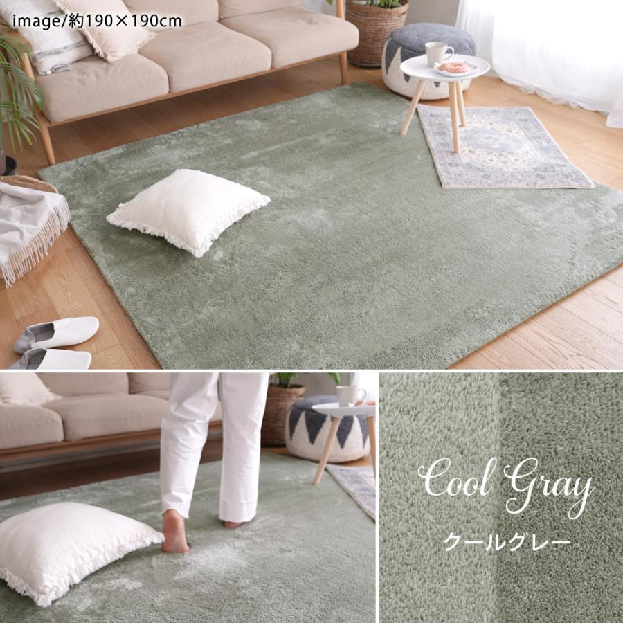 ERARE（エラーレ） ラグマット 洗える 新EXマイクロ2層ウレタンラグ