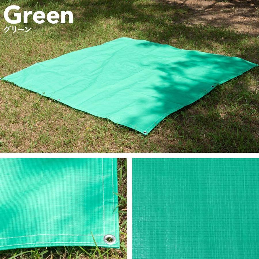 グリーンシート 防水 ブルーシート レジャーシート ビニールシート 1097 グリーンシートレジャーシート ビニールシート防水 厚手10m*10m