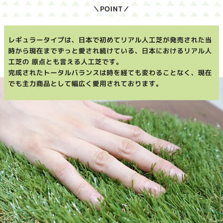 人工芝 ロール Diy 庭 オフィス ベランダ 防炎 カラー いつでもgreen レギュラータイプ お買い得品 芝丈30mm 直送品 1m 1m Jq