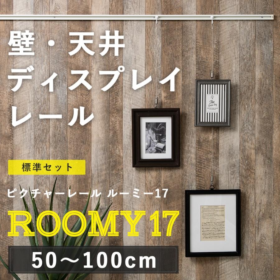 ピクチャーレール 壁 天井 展示 ディスプレイ レール スタイリッシュタイプ ルーミー17 標準セット 1mまで Jq Pr171s Diy 壁床窓インテリア内装イゴコチ 通販 Yahoo ショッピング