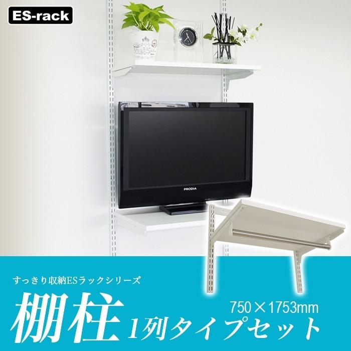 最適な材料 棚 Diy 棚受け金具 棚受け 棚柱 すっきり収納esラック用 1列タイプ 標準プラン Sa Esr750set Jq Sa Esr750set 壁紙 Diyインテリア通販 イゴコチ 通販 Yahoo ショッピング 全日本送料無料 Blog Lonolife Com