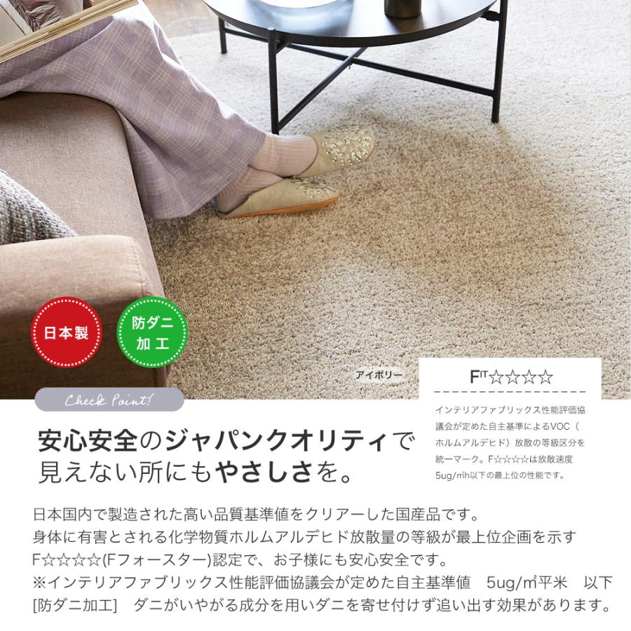 家具 カーペット/マット/ラグ 81kqKpvVNoL._AC_UF350,