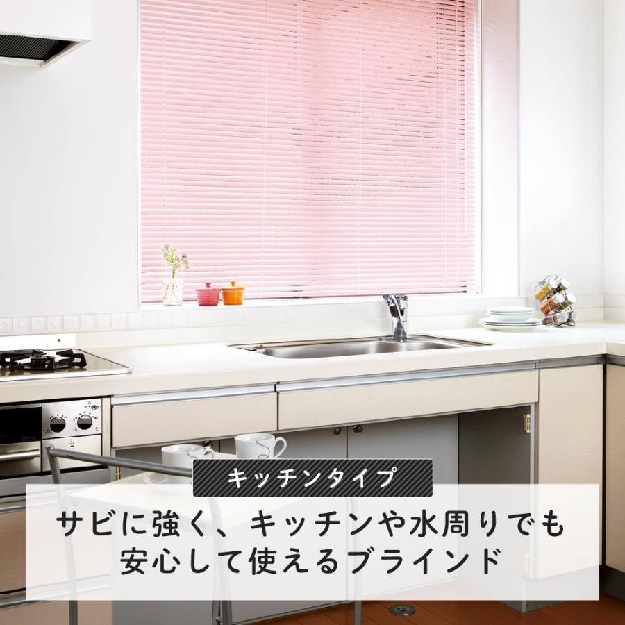 ブラインドカーテン ブラインド カーテンレール 遮光 耐水アルミ