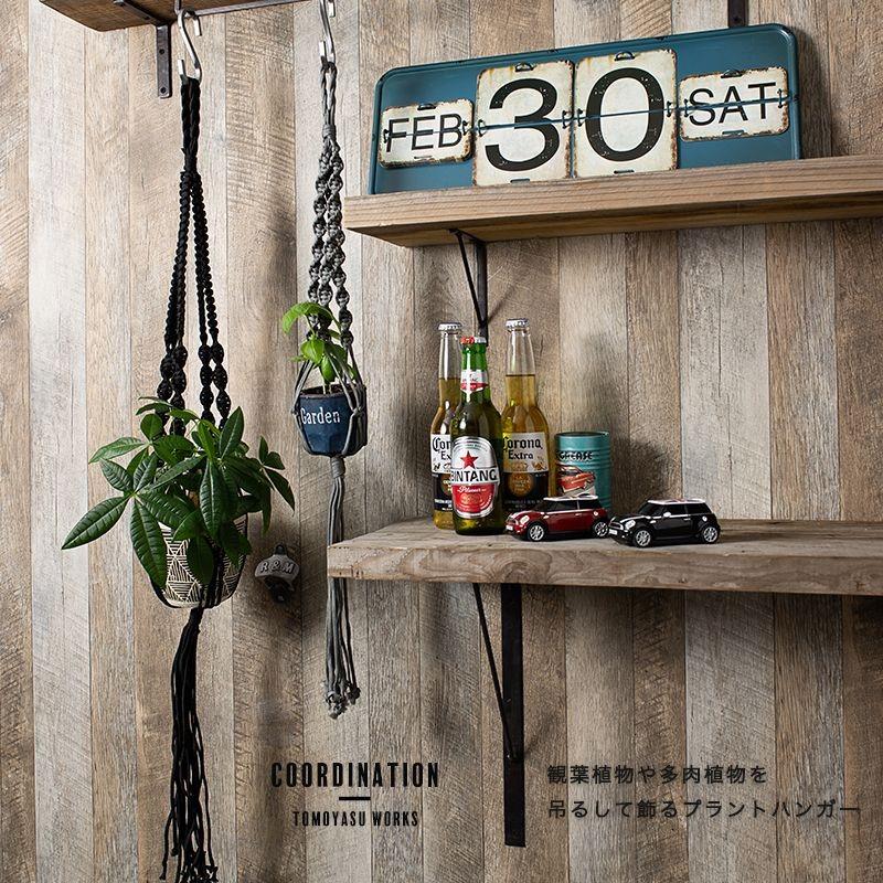 鉄製 サボテン カクタス アイアン 男前 ハンガー