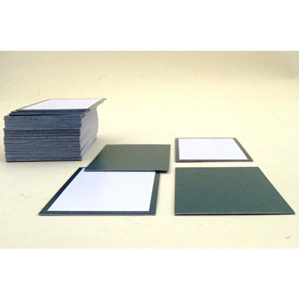 大石天狗堂 かるた あなたのオリジナル 無地かるた 白札200枚入り 寛政