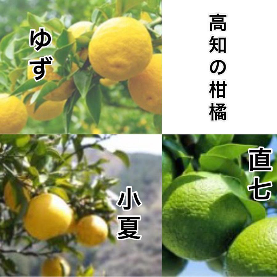 日本酒 リキュール 高知　酔鯨 リキュール　かじゅ 39 　720ml｜igossou-sakaya｜02