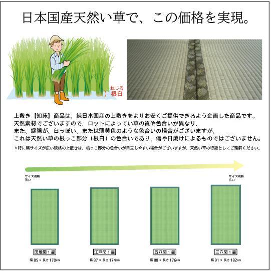 熊本県産 天然い草 上敷き ござ 江戸間 8畳 純日本国産 352×352cm 知床 サイズオーダー可 選べる縁｜igusa-koubou｜10