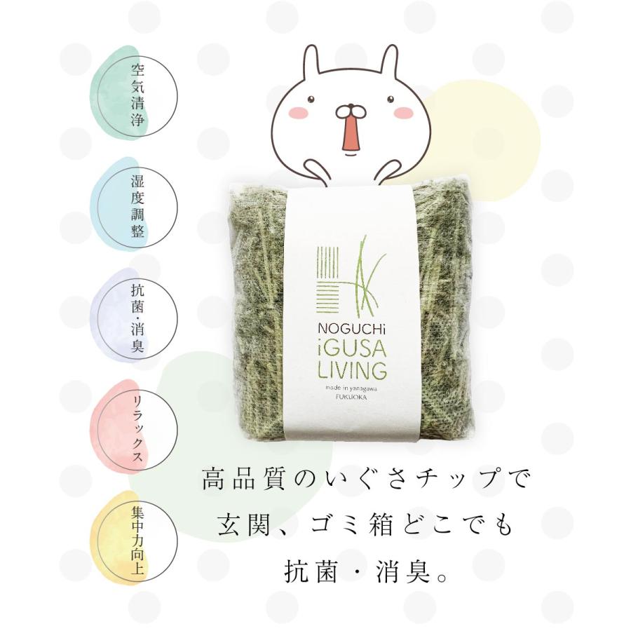 いぐさ消臭パック 6個入 消臭剤 脱臭 湿気対策 天然素材の芳香剤 国産