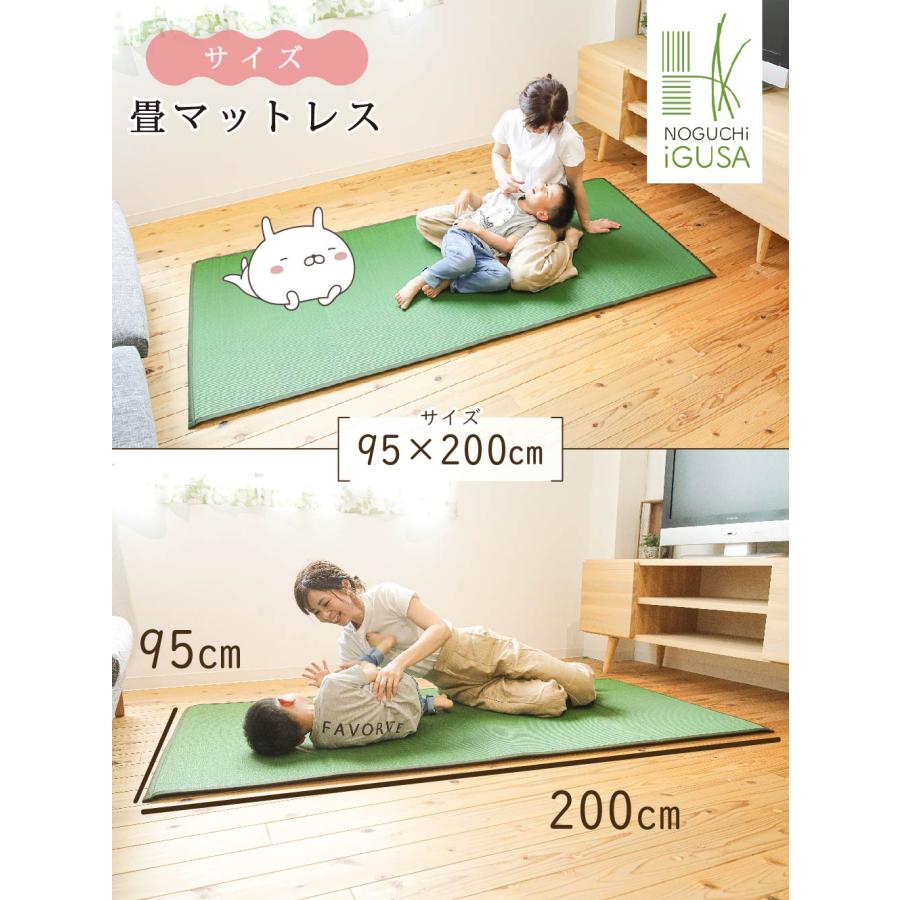 い草ラグ 厚手 畳マットレス 寝ござ おしゃれ 国産 1畳 シングル 布団