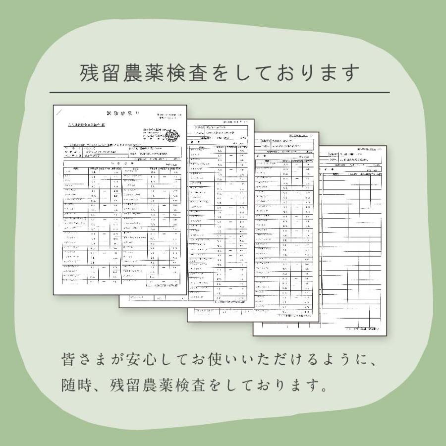 い草ラグ 2畳用 国産 マット カーペット おしゃれ 畳上敷き 大江戸のゴザ 市松 ござ チェック 191×191cm｜igusak-k｜13