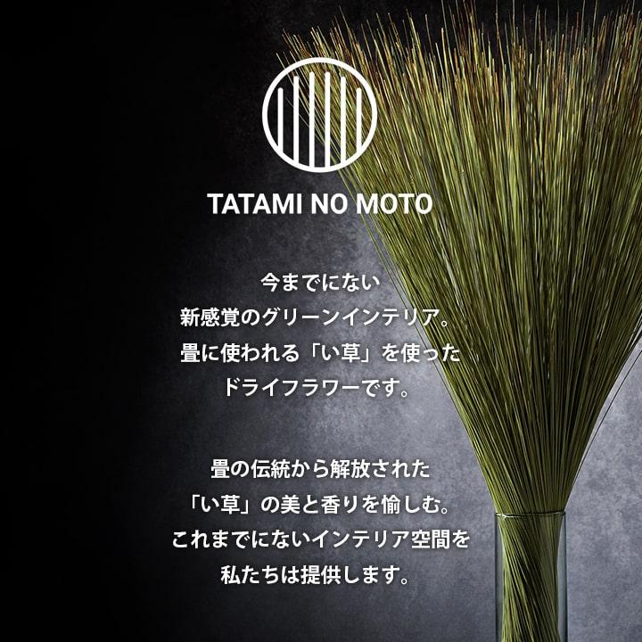 観葉植物 室内 インテリア オブジェ 置物 TATAMI NO MOTO 花瓶セット い草 おしゃれ 調湿 消臭 国産 和風 大きい イ草 消臭 自然 ナチュラル エコ｜igusakotatu｜04