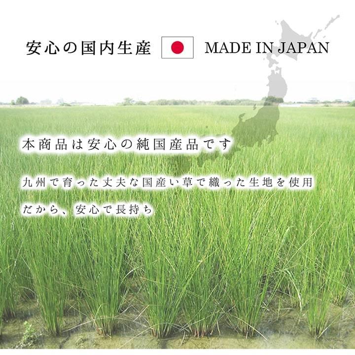 い草ラグ 3畳 国産 い草カーペット DXカラフルブロック 191×250cm おしゃれ 夏用 ラグ ラグマット イ草 夏 九州産 日本製 洋室 センターラグ 敷物_9