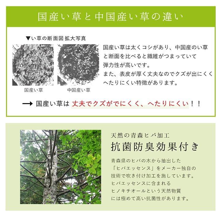 い草ラグ 3畳 国産 い草カーペット DXカラフルブロック 191×250cm おしゃれ 夏用 ラグ ラグマット イ草 夏 九州産 日本製 洋室 センターラグ 敷物_10