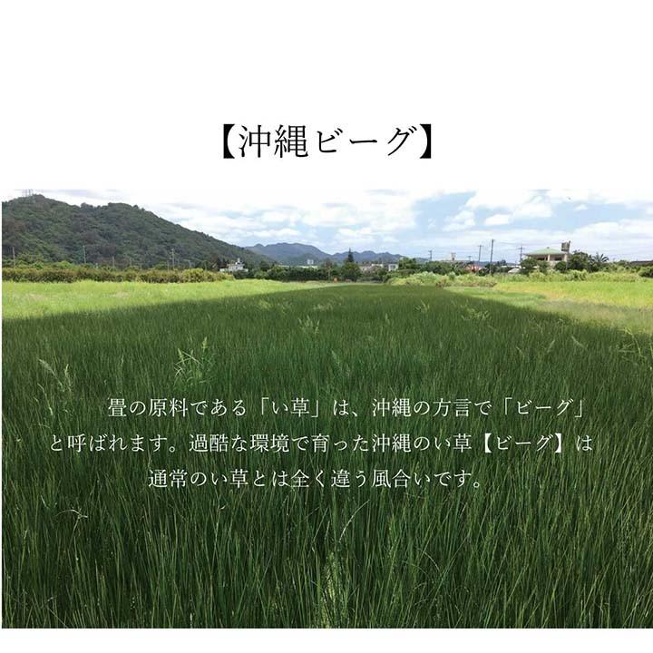 い草ラグ 2畳 国産 おしゃれ ラグマット 夏用 沖縄ビーグ 191 191cm ござ カイハラデニム かっこいい 沖縄 畳 カバー 琉球 い草王国こたつ王国paypayモール店 通販 Paypayモール