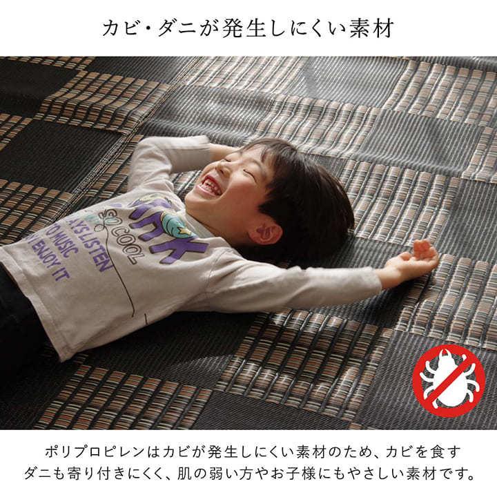 イケヒコ PPラグ 洗える カーペット 防ダニ ウィード 本間6畳 約286