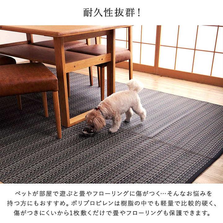 イケヒコ ラグ ペット対応 洗える 6畳 団地間 約255×340cm