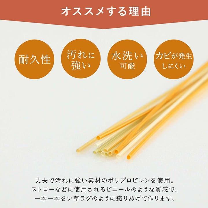 イケヒコ ラグ ペット対応 洗える 6畳 江戸間 約261×352cm ラグマット