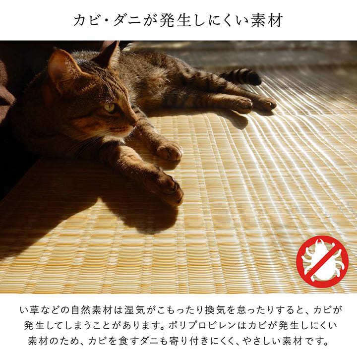 イケヒコ ラグ ペット対応 洗える 6畳 江戸間 約261×352cm ラグマット