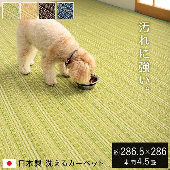 イケヒコ ラグ ペット対応 洗える 4.5畳 本間 約286×286cm ラグマット