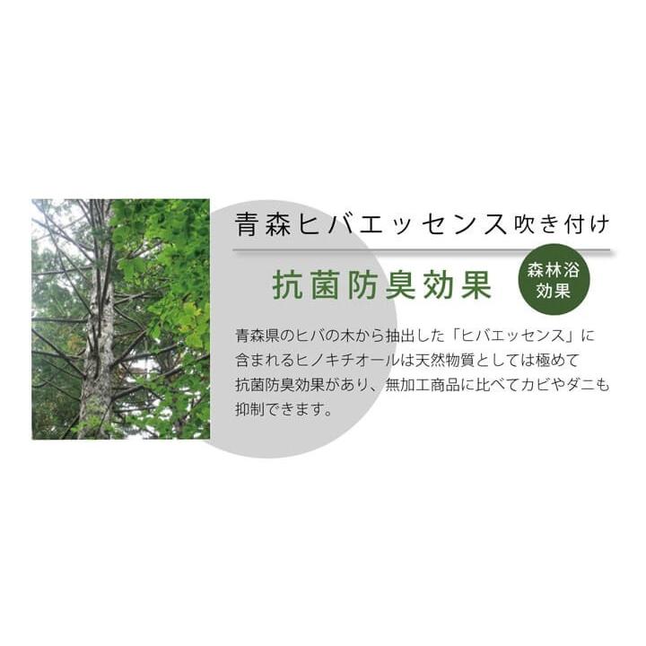イケヒコ い草座布団 5枚組 ブロック 55×55cm おしゃれ 日本製 織込