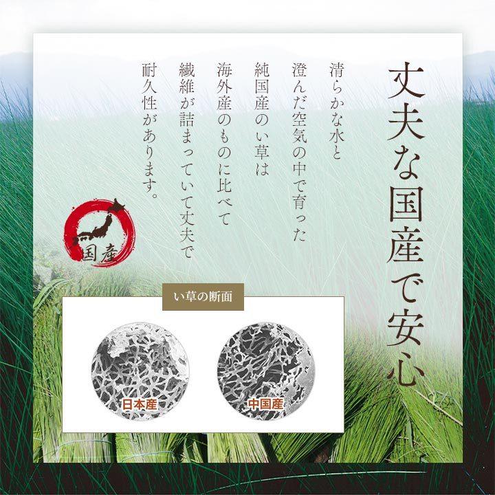 イケヒコ い草座布団 大紬 55×55cm 千鳥座布団 座布団 夏用 日本 イケヒコ い草座布団 大紬 55×55cm 千鳥座布団 座布団 夏用 日本