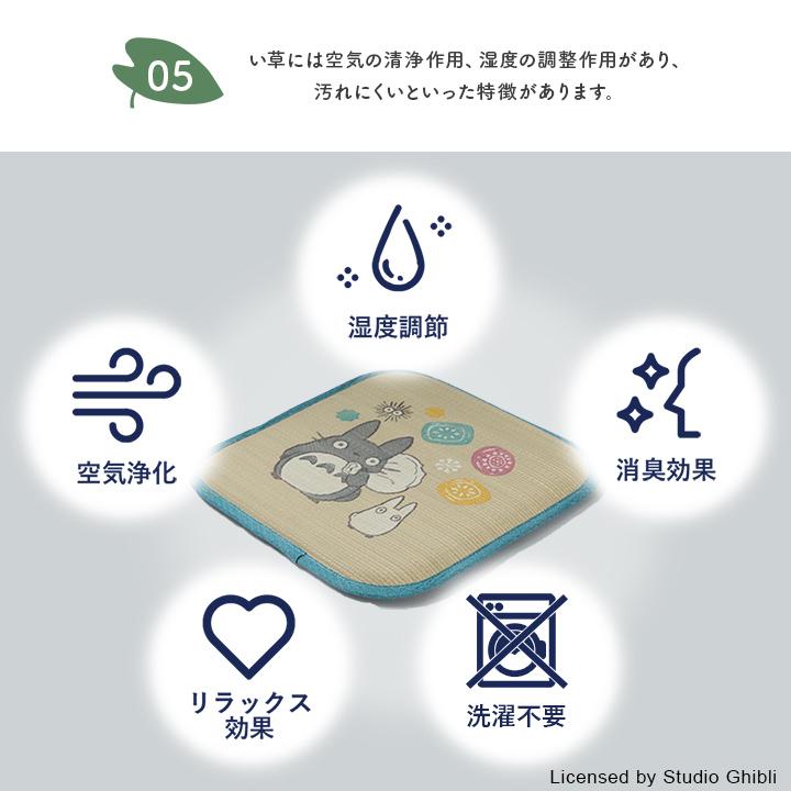 イケヒコ シートクッション となりのトトロ い草 クッション 座布団