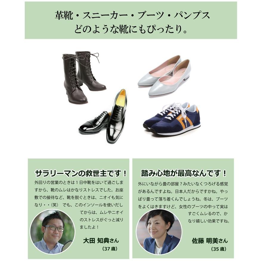 い草インソール 消臭 メンズ レディース 中敷き インソール 侍