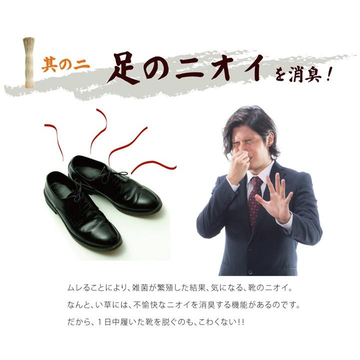 い草インソール 消臭 メンズ レディース 中敷き インソール 侍