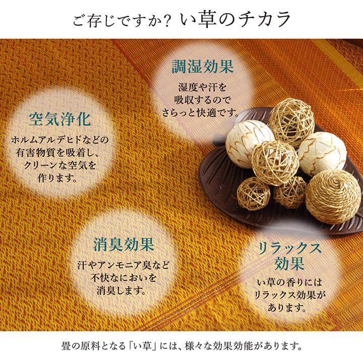 イケヒコ い草カーペット ランクス 江戸間3畳 花ござ 国産 畳の上に