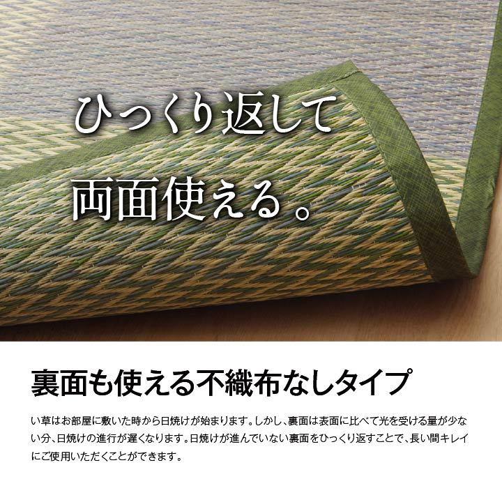 イケヒコ い草カーペット 花ござ 4.5畳 ニューピア 団地間4.5畳 255 