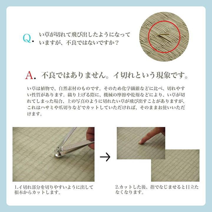 イケヒコ い草カーペット 花ござ ルネ 江戸間 6畳 い草ラグ イケヒコ い草カーペット 花ござ ルネ 江戸間 6畳 い草ラグ