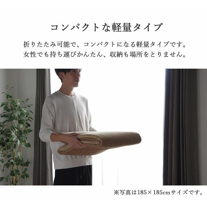 イケヒコ ラグ 洗える カーペット ラグマット 選べる7色 2畳 185×185cm