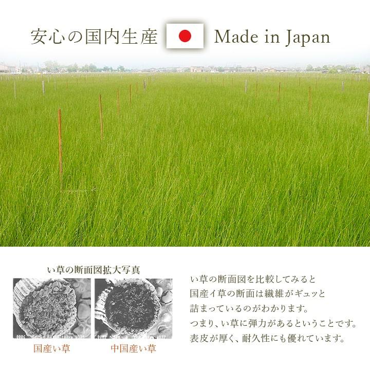 イケヒコ 枕 い草枕 夏 アスクドクターズ い草くぼみ平枕 約50×30cm