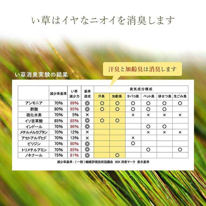イケヒコ 枕 い草枕 夏 アスクドクターズ い草くぼみ平枕 約50×30cm