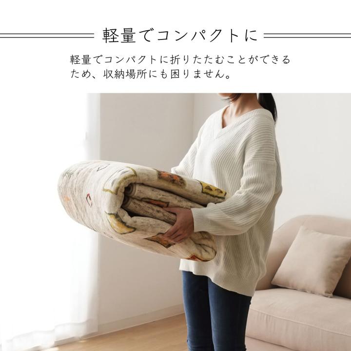 イケヒコ ラグ カーペット 正方形 2畳用 DXラーズ 約185×185cm ギャベ