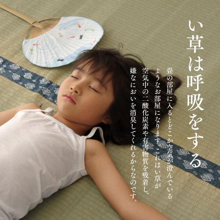 イケヒコ 上敷き ござ まごころ 江戸間1畳 88×176cm 畳の上に敷くもの